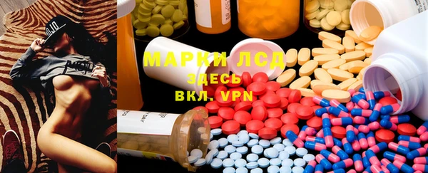 сатива Армянск